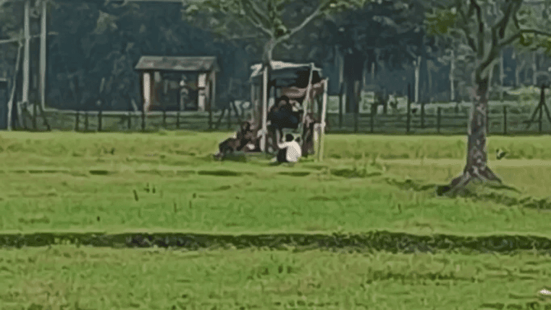 BGB foils BSF push-in bid, 33 stopped at Lalmonirhat border