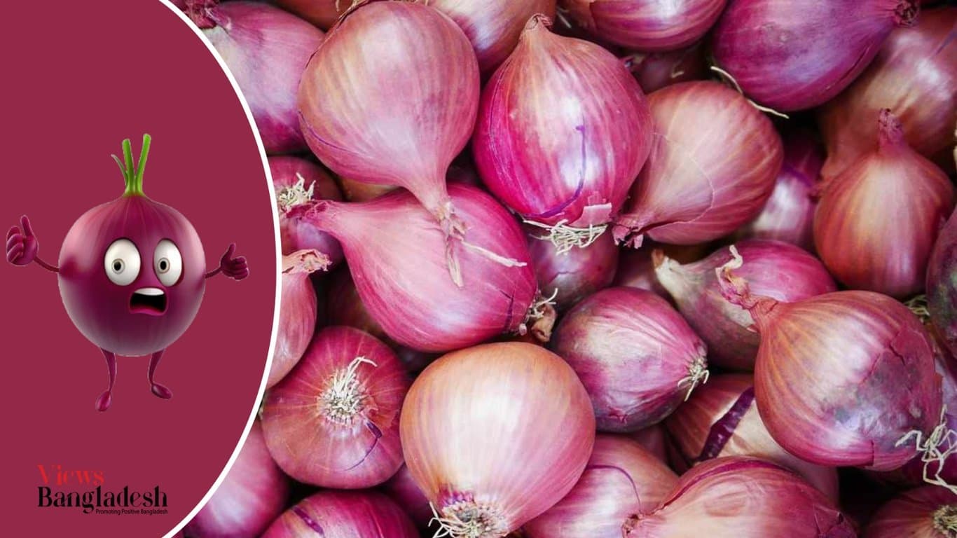 Why is the onion market repeatedly unstable?