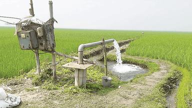 Boro crops at risk amid diesel shortage