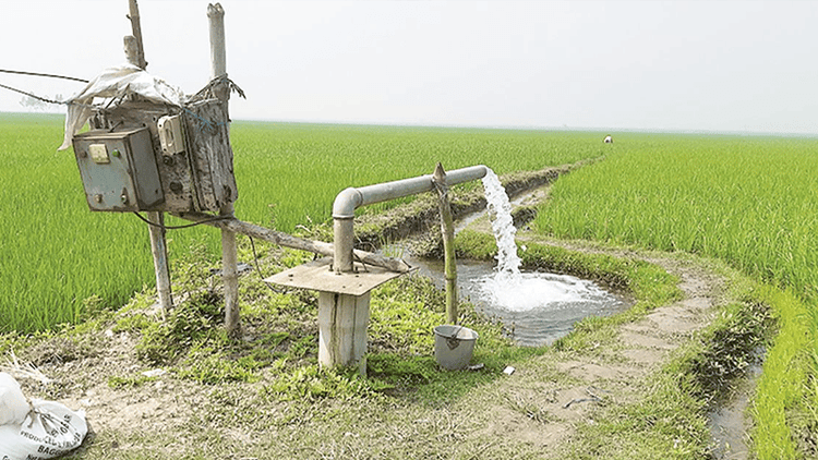 Boro crops at risk amid diesel shortage