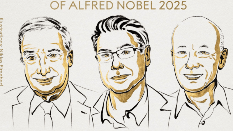 Three economists win Nobel in economics