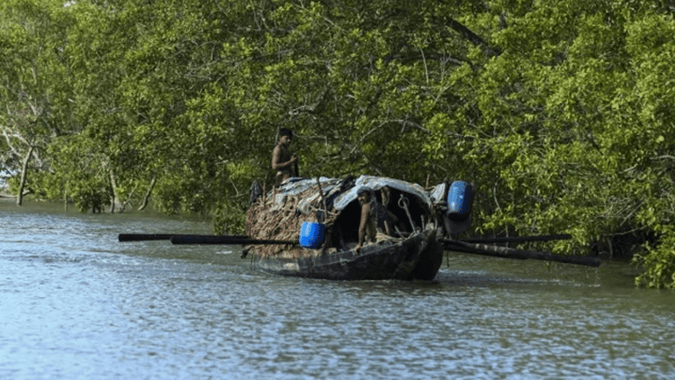 Two more forest workers abducted in Sundarbans