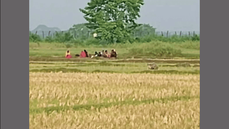 BGB foils BSF push-in bid at Benapole border