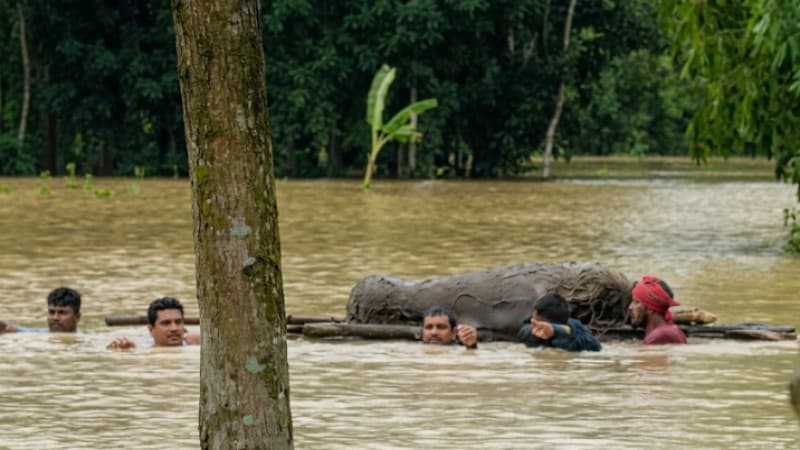 Flooded family uses banana raft to carry body 2km for burial