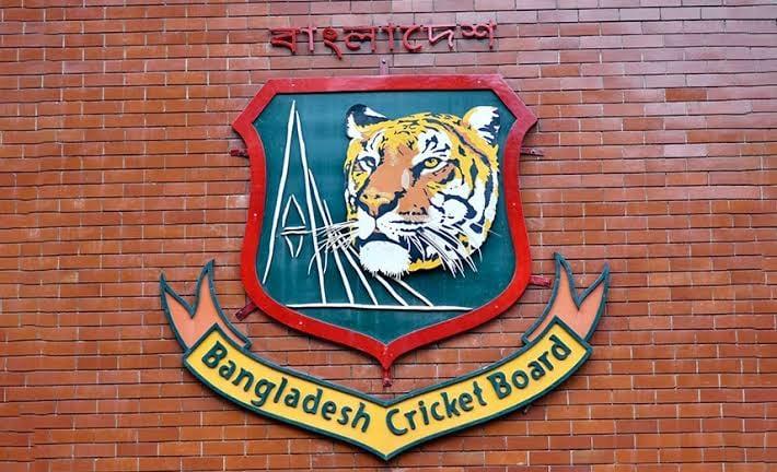 BCB constitution amendment committee suspended