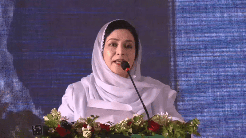 38 of country's 64 districts have no ICU facilities: Zubaida Rahman