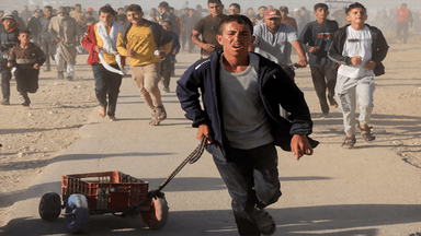 798 Palestinians killed near Gaza aid centers in six weeks: UN report