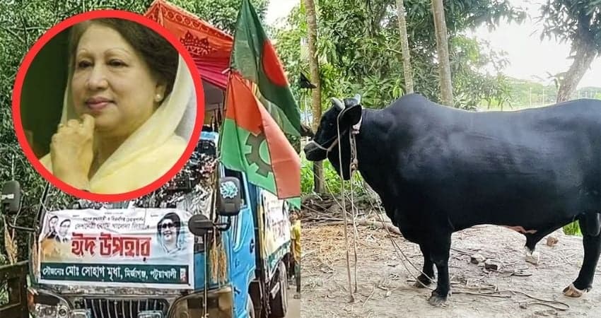 Khaleda Zia respectfully declines gifted sacrificial bull