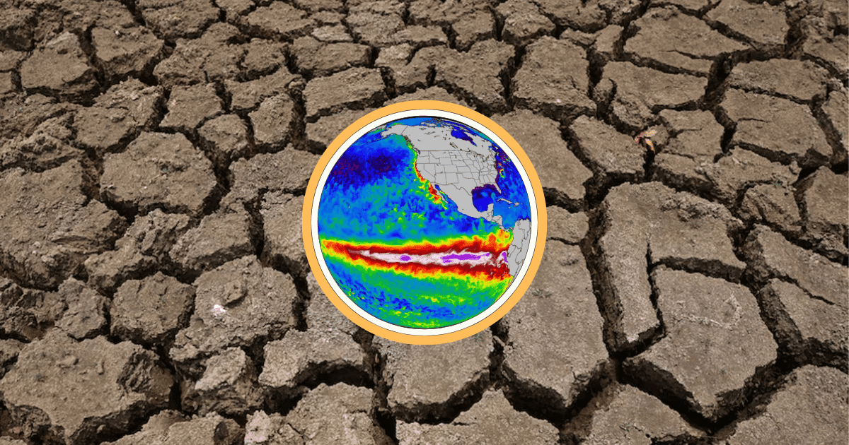 ‘Super El Niño’ could cause 450,000 heat-related deaths over next six months: Study