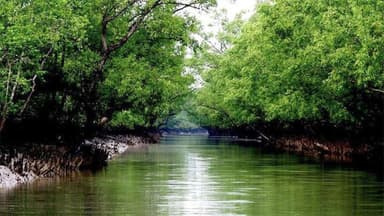Two fishermen abducted from Sundarbans’ Tiar Char