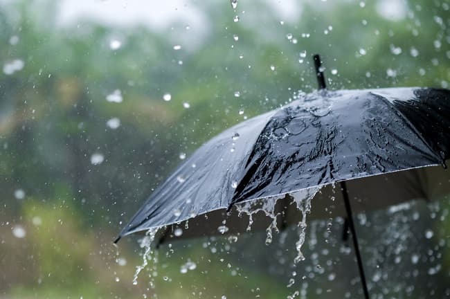 BWDB orders staff to remain at workstations as heavy rain forecast for next 5 days