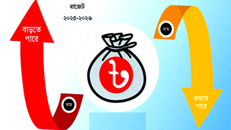 Budget: Products that likely to see price hike 