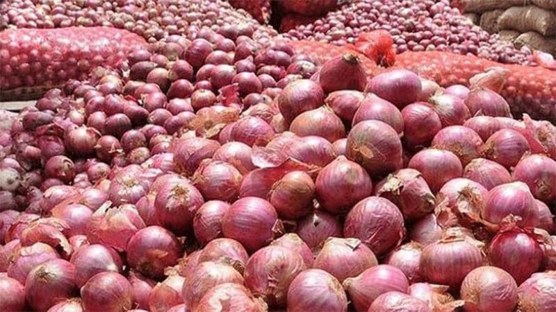 “First consignment of Indian onion to arrive tonight”