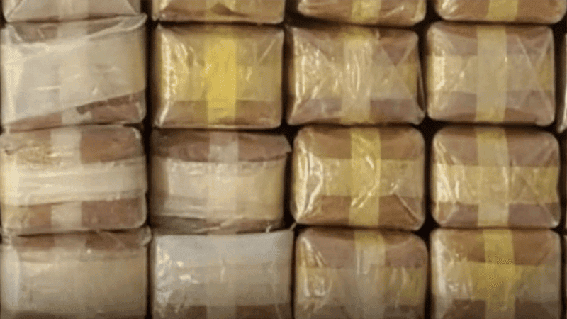 BGB seizes Tk 25cr worth of yaba in Teknaf operation