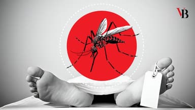 dengue