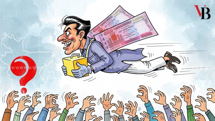 interim government
