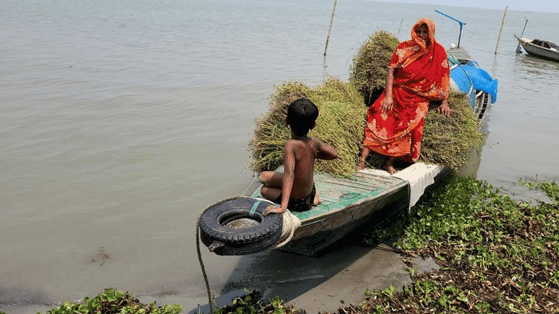 1.2mn more Bangladeshis at risk of poverty: UNICEF