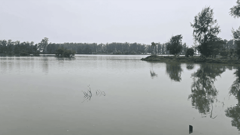 Chattogram flood leaves Tk 150cr loss of destruction in fisheries, roads