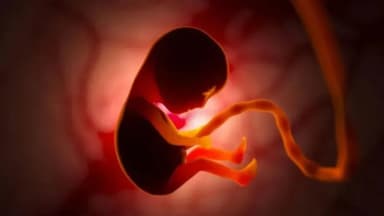 Pakistan investigates human placenta trafficking for anti-ageing injections