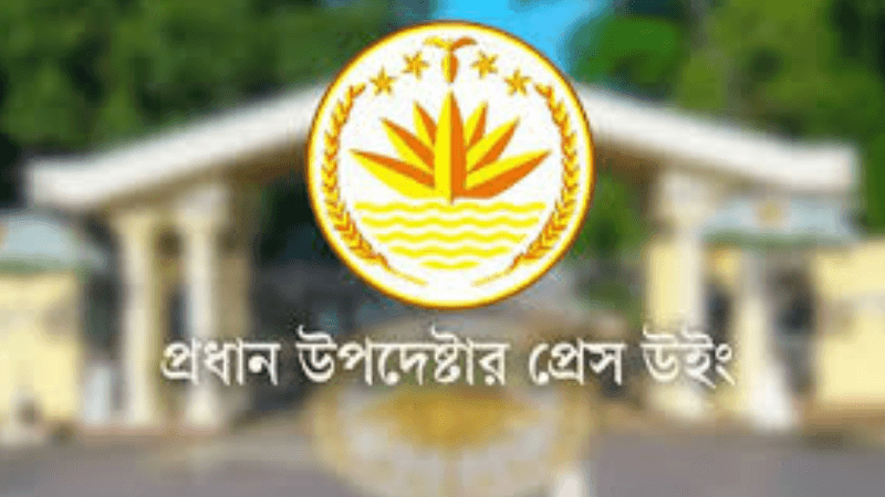 Interim govt to continue regular duties until power is handed over