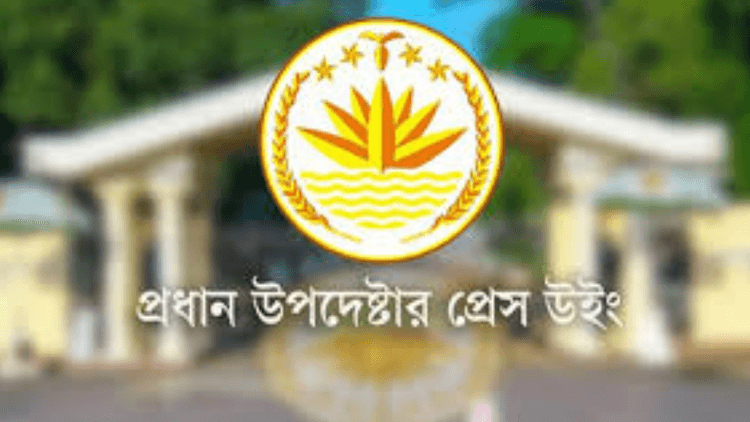 Interim govt to continue regular duties until power is handed over