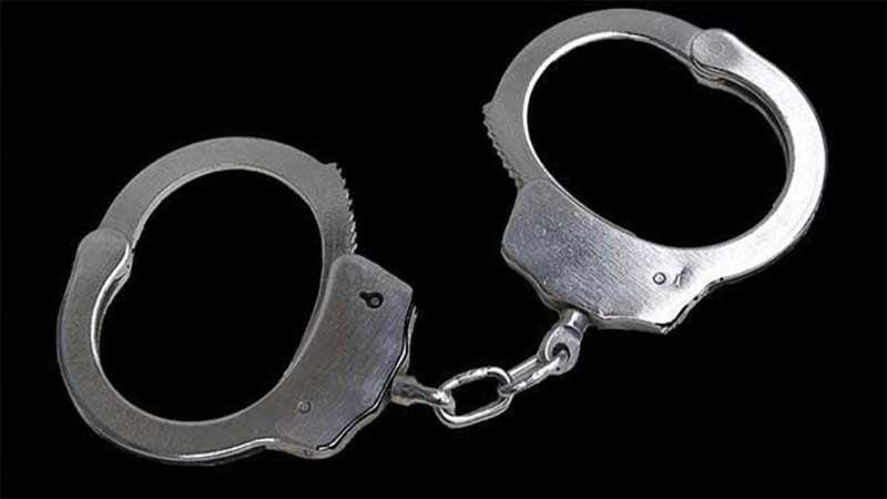 RAB detains 8 with weapons in Mohammadpur