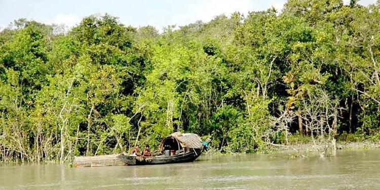 কারাগার ভেঙে পালানোদের বিরুদ্ধে সুন্দরবনে দস্যুতার অভিযোগ