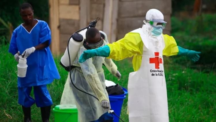 Ebola outbreak in Congo-Uganda kills 80, infects 246