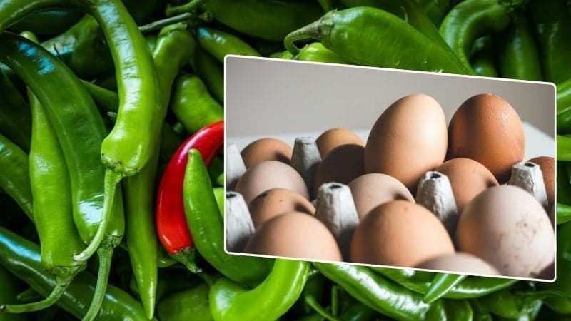 Green chilli, egg prices keep soaring