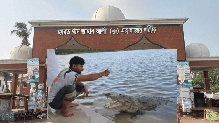 Crocodile earlier dragged 2 people into shrine's pond
