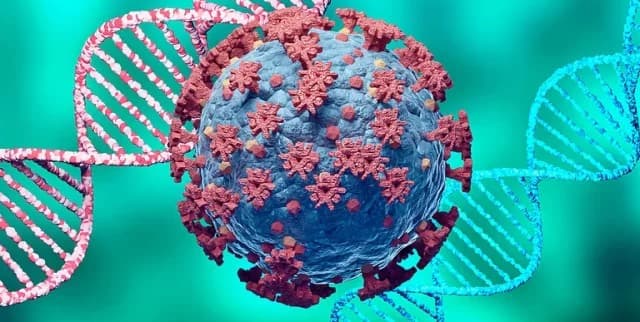 Chandipura virus kills 22 children in India, special teams deployed in Gujarat-Rajasthan