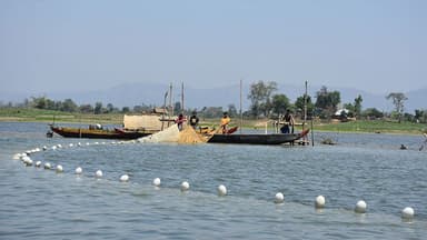 Kaptai Lake sees bumper fish haul, 310 tonnes in 2 days