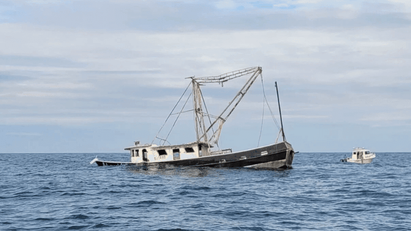 Around 250 including Bangladeshis missing after boat capsizes in Andaman Sea