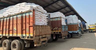 Nearly 350 tonnes of Indian hilsa imported through Benapole land port in two months