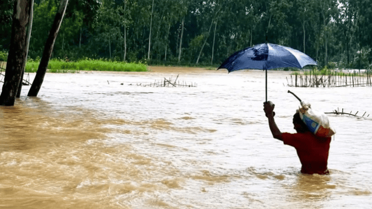 Floods wash away fish farms in Chattogram, losses hit Tk 91cr