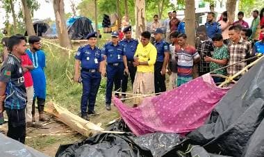 Pregnant woman crushed to death by falling tree amid storm in Naogaon