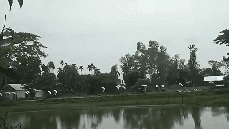 Farmers take away 202 bags of fertilizer after breaking warehouse door in Kurigram