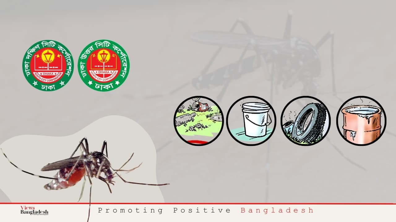 dengue control