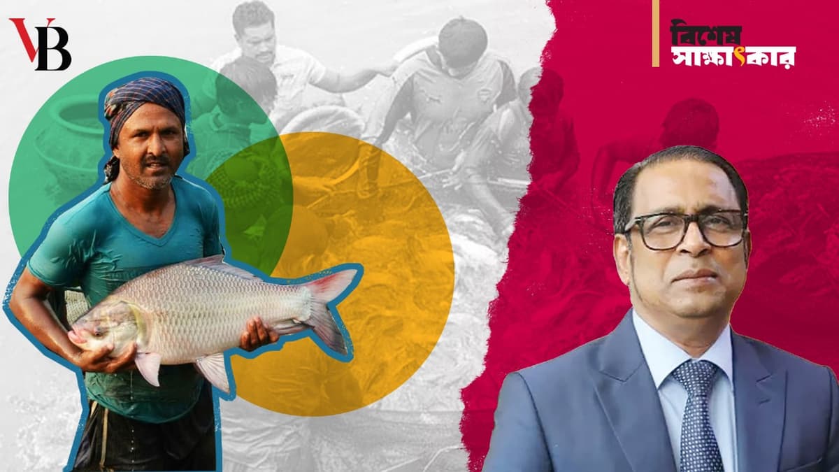 fish and farmed fish nowadays
