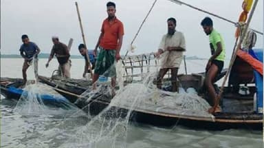After 22-day hilsa ban, fishermen rush back to the Bay of Bengal