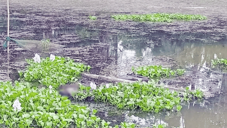 2 bodies recovered from Maheshpur border area within 72 hours