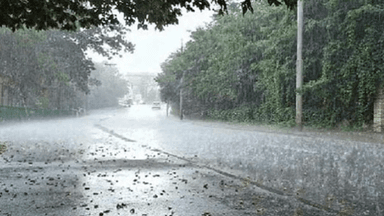 Rain with gusty winds likely in 7 districts before noon