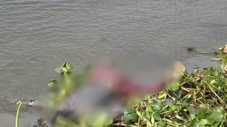Unidentified bodies recovered from two rivers in Munshiganj