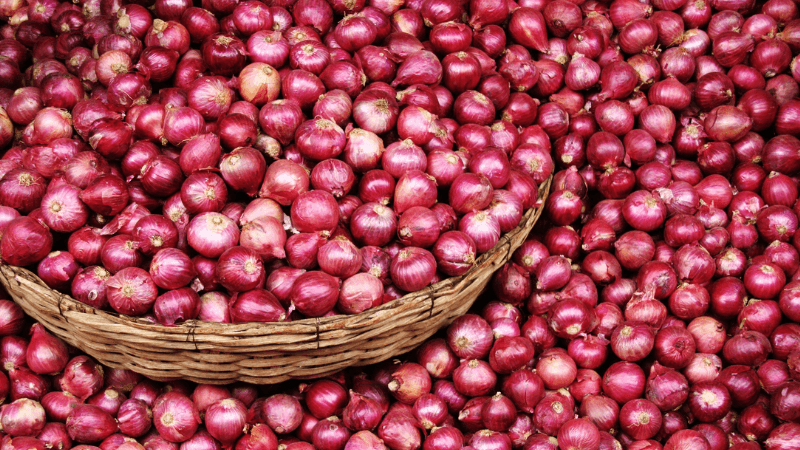 Govt allows limited onion imports to stabilize market