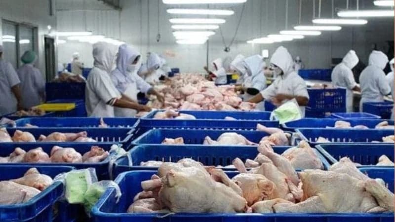 Kuwait lifts import ban on frozen products from Bangladesh