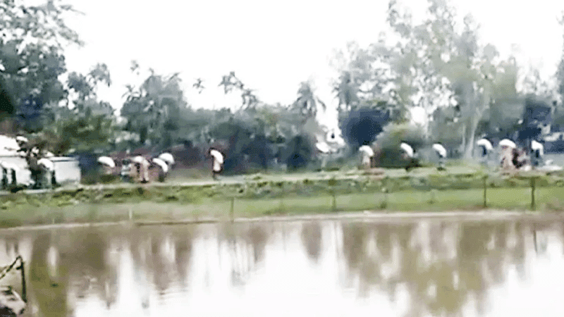 115 of 197 fertiliser sacks recovered after farmers' protest in Kurigram