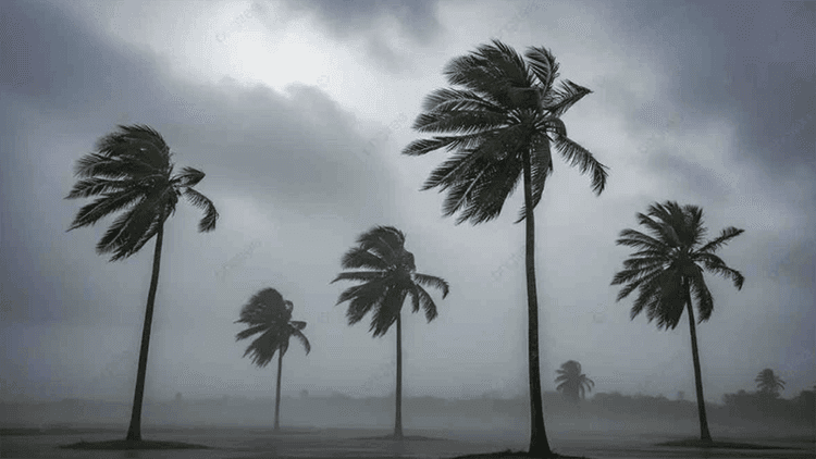 Thunderstorms with gusty winds up to 60 kmph likely in 9 districts, including Dhaka