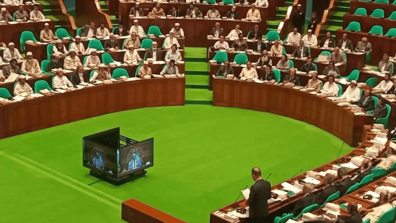 Special parliamentary committee to oversee 133 interim government ordinances