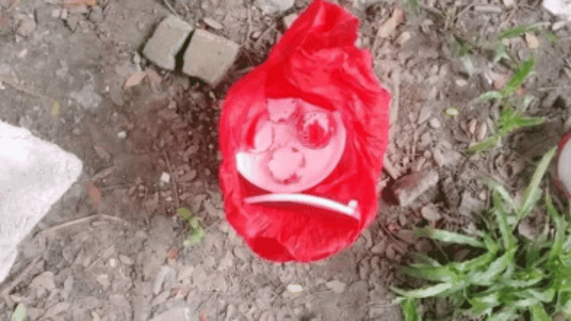 Cocktail explosions at DU; 7 more devices recovered