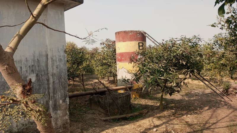 'If deep tube wells run, we get meal'